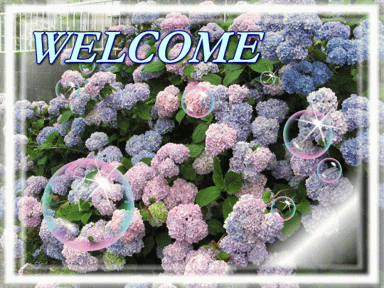 ���@���ǃX�y�N�g������Q