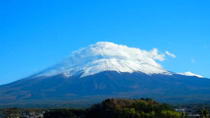 ���B��Q�@�O���[�]�[��